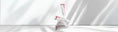 Centellian24 Skincare in UAE and GCC