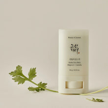 Beauty of Joseon Matte Sun Stick 18g – Authentic Korean Skincare, Buy in UAE