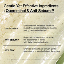 ANUA Heartleaf Quercetinol Cleansing Foam 150ml – Authentic Korean Skincare, Buy in UAE