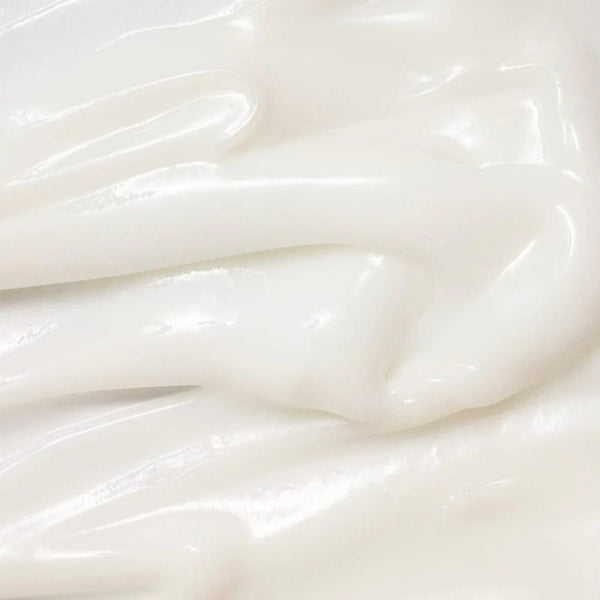 Beauty of Joseon Dynasty Cream Ingredients & Texture – K-Beauty UAE