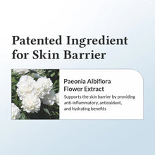 Dr.Althea Dr. Althea 147 Barrier Cream 50ml – Authentic Korean Skincare, Buy in UAE