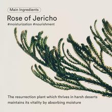 Abib - Jericho Rose Bifida Serum Firming Drop – 50ml | 100% Authentic Korean skincare in UAE – 100% Authentic Korean Skincare in UAE | Korean - Skincare Arabia