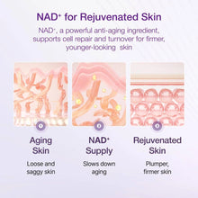 Numbuzin No.9 NAD Bio Lifting Essence 50ml – Authentic Korean Skincare, Buy in UAE