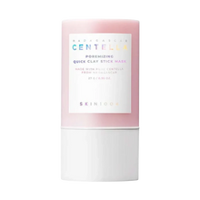 Skin1004 Madagascar Centella Poremizing Quick Clay Stick Mask 27g – Authentic Korean Skincare, Buy in UAE